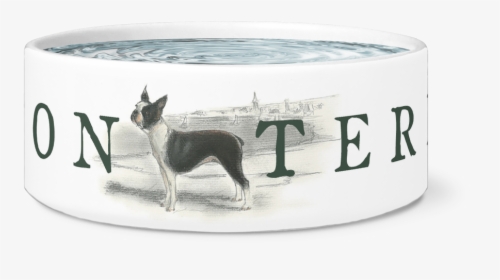 Boston Terrier Water Or Food Bowl - Boston Terrier, HD Png Download, Transparent PNG