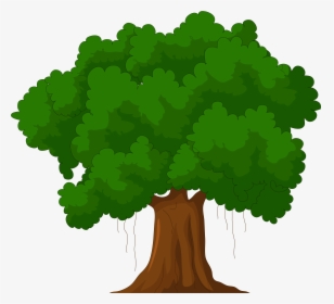 Tree Clipart Cartoon Green - Cartoon Transparent Background Tree, HD Png Download, Transparent PNG