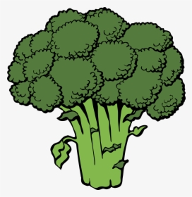 Broccoli Clipart, HD Png Download, Transparent PNG
