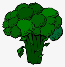 Transparent Broccoli Cartoon Png - Broccoli Clipart, Png Download, Transparent PNG
