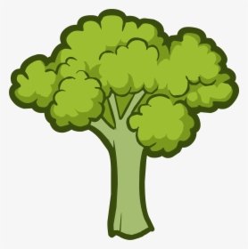 Transparent Brocolli Png - Broccoli Clipart Png, Png Download, Transparent PNG