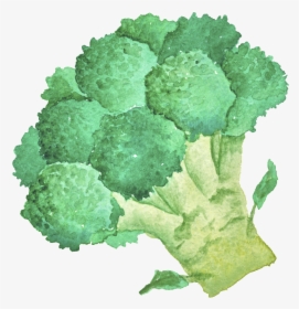 Green Hand Painted Broccoli Cartoon Vegetable Kitchen - Blocoli Cartoon No Background, HD Png Download, Transparent PNG