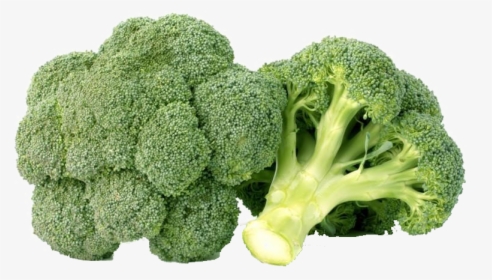 Green Broccoli Png Free Background - Broccoli Png, Transparent Png, Transparent PNG