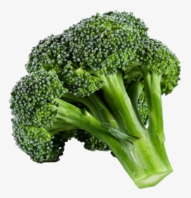 Green Broccoli Png Background - Broccoli Png, Transparent Png, Transparent PNG