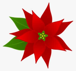 Christmas Poinsettia Flower - Holiday Clip Art, HD Png Download, Transparent PNG