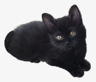 Kitten Png - Black Kitten Transparent Background, Png Download, Transparent PNG