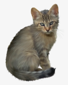 Kitten Transparent - Cute Kittens Clip Art, HD Png Download, Transparent PNG