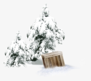 Winter Snow Tree Forest - Snow, HD Png Download, Transparent PNG