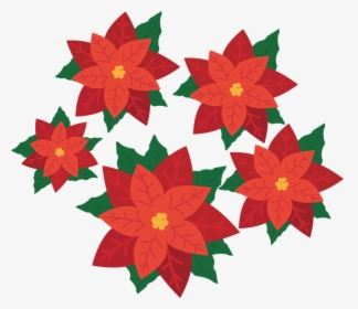 Poinsettia, Flower, Plant, Blossom, Bloom, Christmas - Transparent Poinsettia, HD Png Download, Transparent PNG
