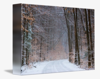Transparent Snow Forest Png - Snow, Png Download, Transparent PNG