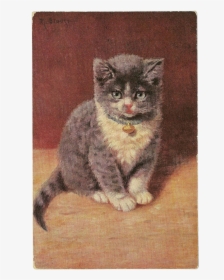 Clip Art Vintage Postcard Signed M - Kitten, HD Png Download, Transparent PNG