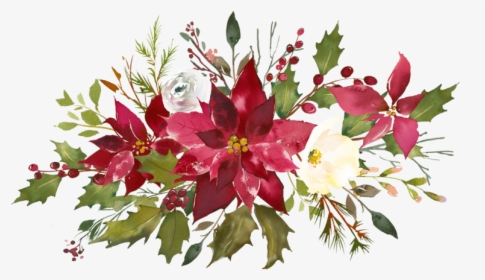 Christmas Flowers Png Watercolor, Transparent Png, Transparent PNG
