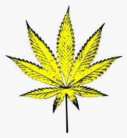 Marijuana Leaf Png - Yellow Weed Leaf Clipart, Transparent Png, Transparent PNG