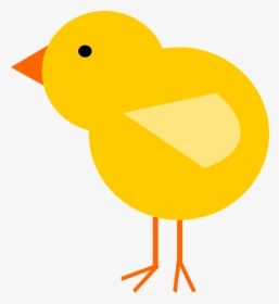 Chick, Bird, Easter, Spring, Animal, Feather - Chick Clipart Png, Transparent Png, Transparent PNG