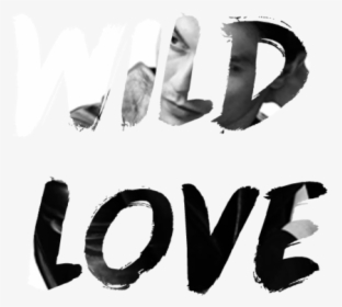 I Wanna Give You Wild Love the Kind That Never Slows - Calligraphy, HD Png Download, Transparent PNG