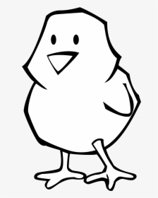 Chicken Black And White Images Clipart Clipart - Clipart Chicken, HD Png Download, Transparent PNG