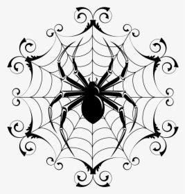 Spider And Spider Web Image - Spider With Web Drawing, HD Png Download, Transparent PNG