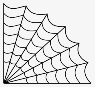 Drawn Spider Web Line Drawing - Spider Web Transparent Background, HD Png Download, Transparent PNG