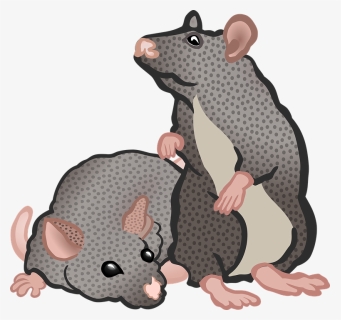 Transparent Rat Mouse Clipart - Clip Art 2 Rat, HD Png Download, Transparent PNG