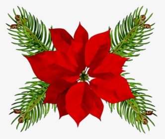 Poinsettia Christmas Day Christmas Ornament Portable - Christmas Art Png Transparent, Png Download, Transparent PNG