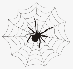 Halloween Spider Web Clipart - Spider On A Web, HD Png Download, Transparent PNG