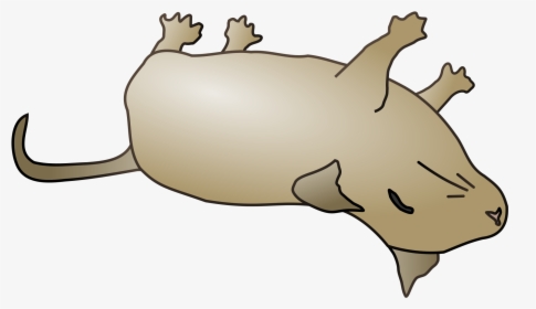 Transparent Dead Rat Png - Dead Animal Cartoon Transparent, Png Download, Transparent PNG