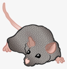 Mouse, Animal, Rodent, Cartoon, Grey, Rat - Brown Rat Transparent Rat Face Tee Shirt, HD Png Download, Transparent PNG