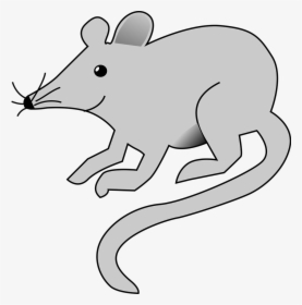 Transparent Mouse Clipart - Cartoon Mouse Transparent Background, HD Png Download, Transparent PNG