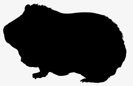 Guinea Pig Silhouette - Guinea Pig Silhouette Clipart, HD Png Download, Transparent PNG