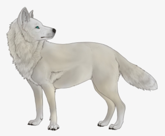 White Wolf PNG Images, Transparent White Wolf Image Download - PNGitem