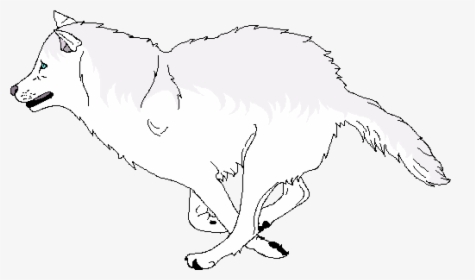Transparent White Wolf Png - Illustration, Png Download, Transparent PNG