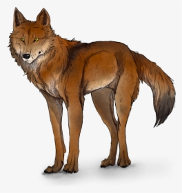 Ginger And White Wolf , Png Download - Ginger And White Wolf, Transparent Png, Transparent PNG