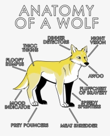White Wolf Clipart Anatomy - Wolf Yellow, HD Png Download, Transparent PNG