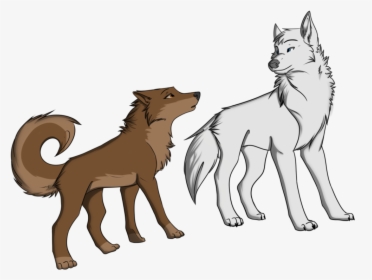 Brown Wolf With White Wolf, HD Png Download, Transparent PNG