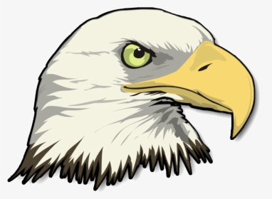 Png Stock Eagle Head Transparent Image - Cartoon Bald Eagle Head, Png Download, Transparent PNG