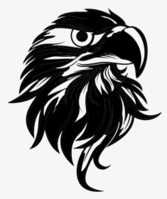 Eagle Head Png Drawing - Illustration, Transparent Png, Transparent PNG