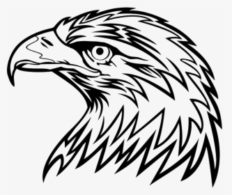 Eagle Head Png Picture - Cool Black And White Clipart, Transparent Png, Transparent PNG