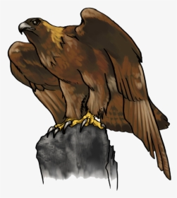 Usm Golden Eagle Clipart - Clip Art Golden Eagle, HD Png Download, Transparent PNG