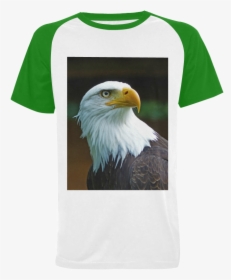 Transparent Usa Eagle Png - American Bald Eagle Head, Png Download, Transparent PNG