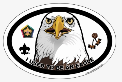 Wood Badge Eagle Car Magnet, HD Png Download, Transparent PNG