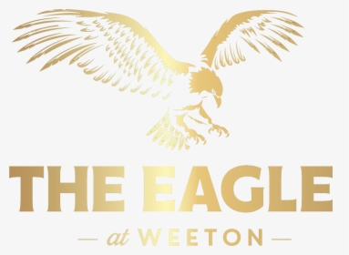 Eagle Logo - Island In Pigeon Forge Logo, HD Png Download, Transparent PNG