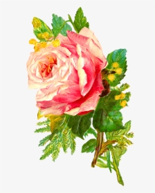 The Second Digital Flower Image Is Of A Bunch Of Pink - Hd Digital Flower Png, Transparent Png, Transparent PNG