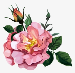 Rose Bouquet Cli̇part Transparent - Flower Transparent Design Clipart, HD Png Download, Transparent PNG
