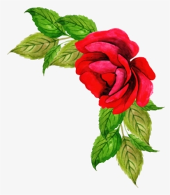 Floribunda, HD Png Download, Transparent PNG