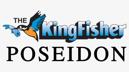 Kingfisher, HD Png Download, Transparent PNG