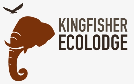 Kingfisher Ecolodge Logo, HD Png Download, Transparent PNG