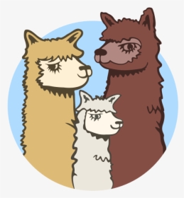 Acton Hill Alpacas - Cartoon, HD Png Download, Transparent PNG