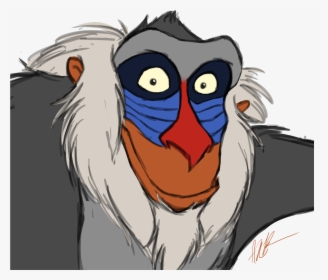 King-vulture, HD Png Download, Transparent PNG