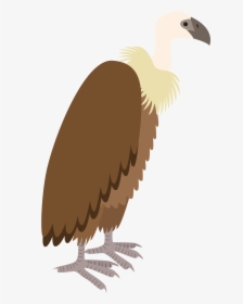 Vultures Drawing Colorful Huge Freebie Download For, HD Png Download, Transparent PNG