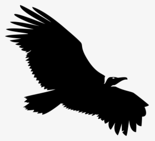 Vulture Png, Transparent Png, Transparent PNG